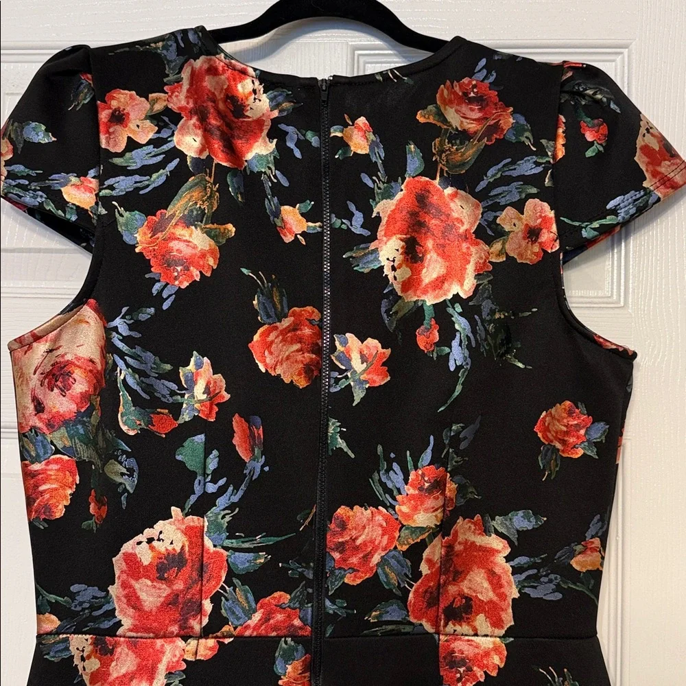 Olivia Matthews Black Red Dress 14 Rose Floral Moody Romantic Goth Noir
